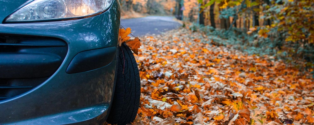 fall tire inspection. Close-up of a blue car, and its tire covered with fallen autumn leaves.